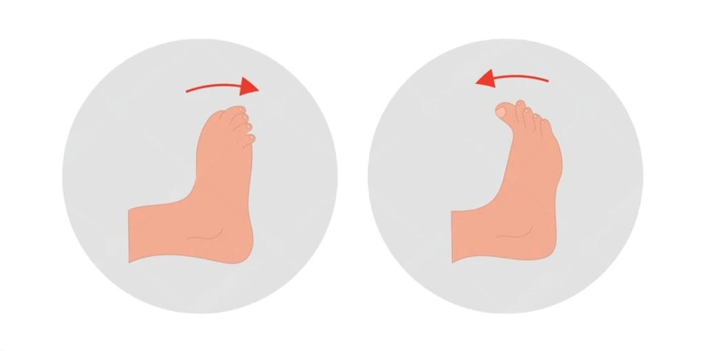 Foot and Ankle Exercises